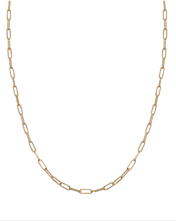Bold Link Necklace Mini Product Photo